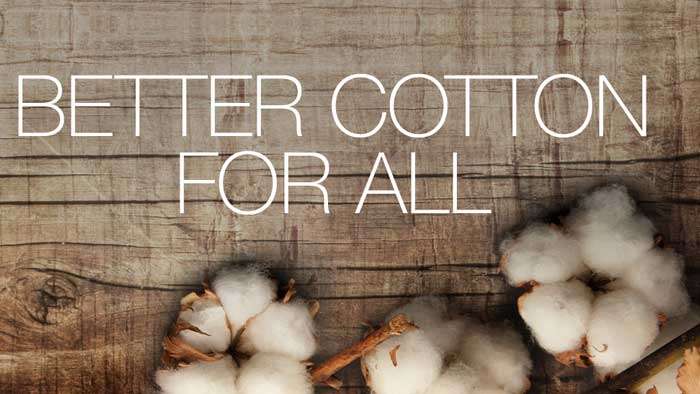 Highlights of Better Cotton Annual Report!